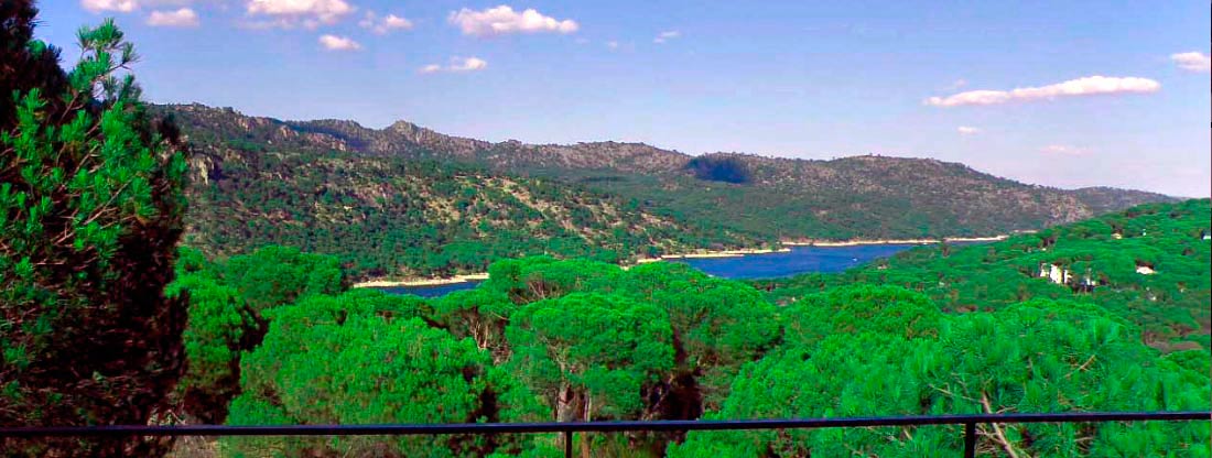 Chalets con vistas al Pantano de San Juan